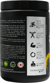 Nevaset Creatine Monohydrate, 3-Month Supply of 5000Mg Pineapple Flavor  Creatine Monohydrate! Creatine Supplement for Muscle Growth, Increased Strength, Enhanced Energy Output, Improved Athletic Performance, and Cognitive Health. 495G / 90 Servings.