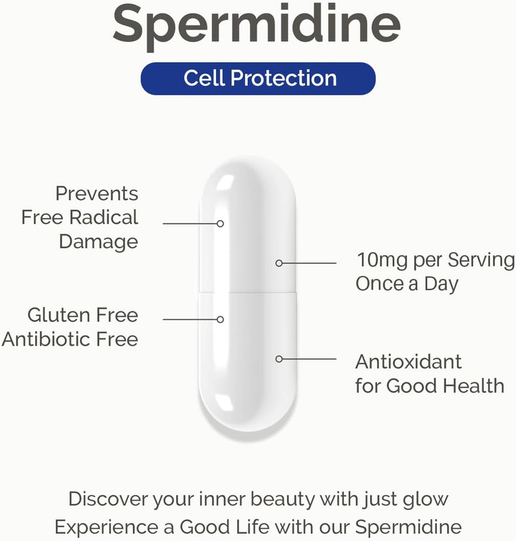 Spermidine Supplement 10Mg 120 Capsules (98% of Spermidine 3HCL - Third Party Tested) for Healthy Aging, Longevity, and Cellular Renewal - Made in Canada